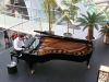 Bsendorfer Grand (hangar Red Bull - Salzbourg)